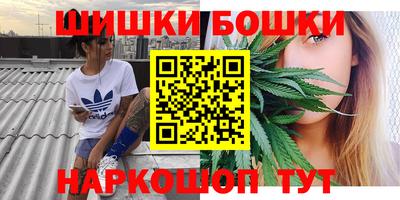 стаф Будённовск