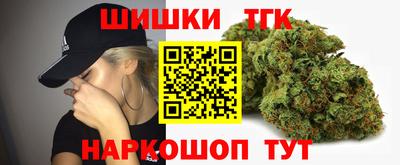 стаф Будённовск